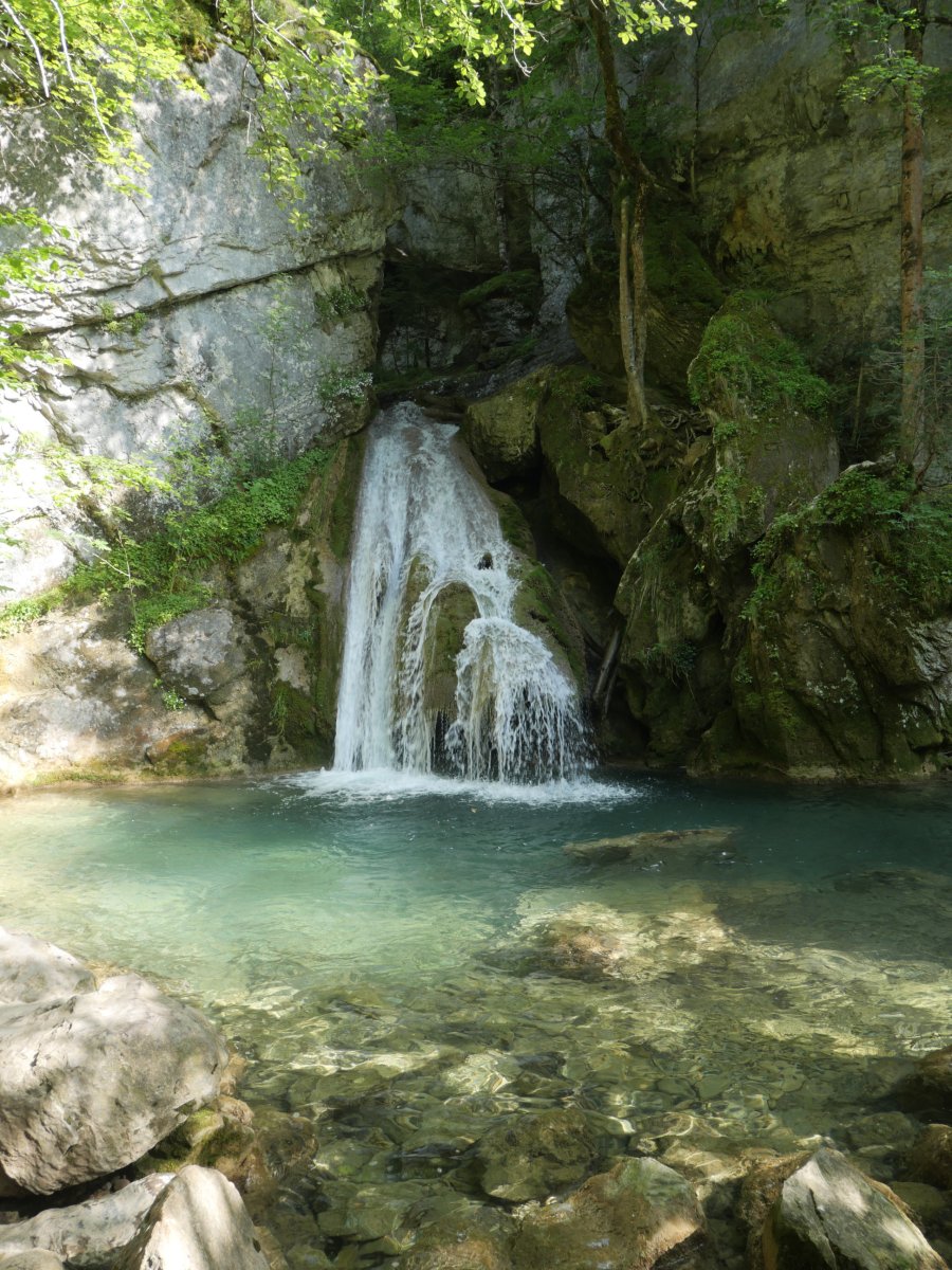 Belabartze ur-jauzia