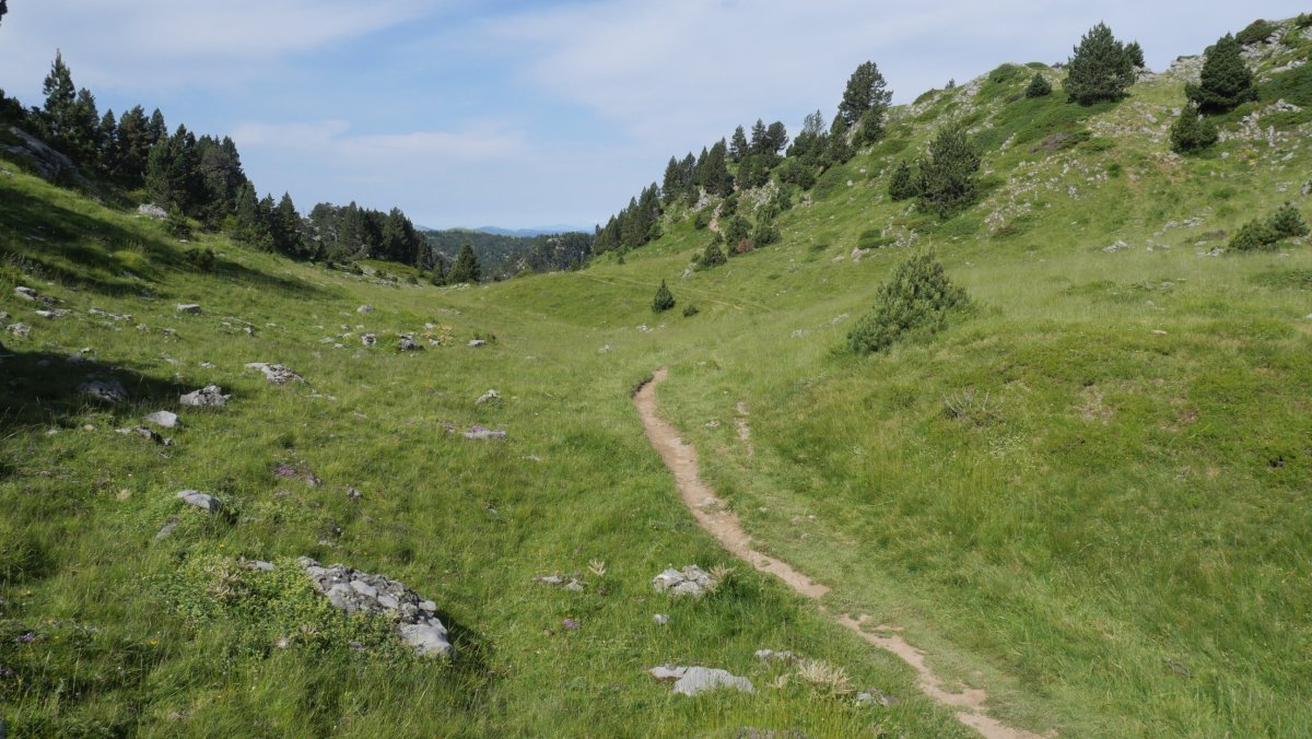 Hasierako pasarte bat, Ernaz mendatetik gertu.
