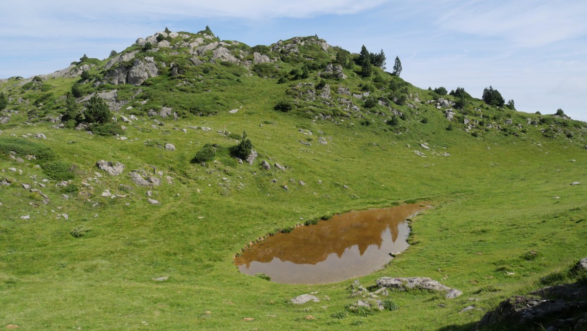 Iboi txiki bat Ernaz aldean