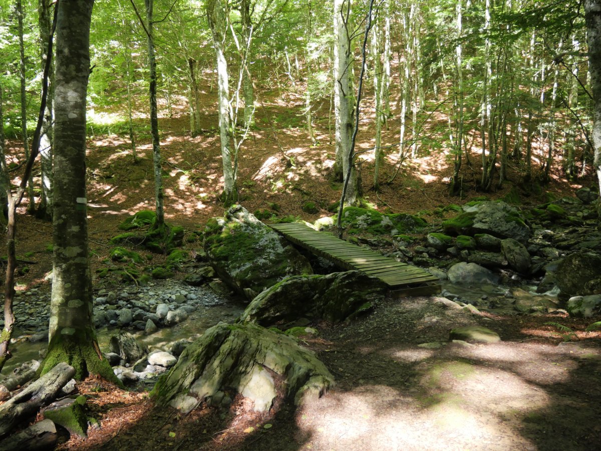 Zurezko zubia Arrakogoiti errekaren gainean