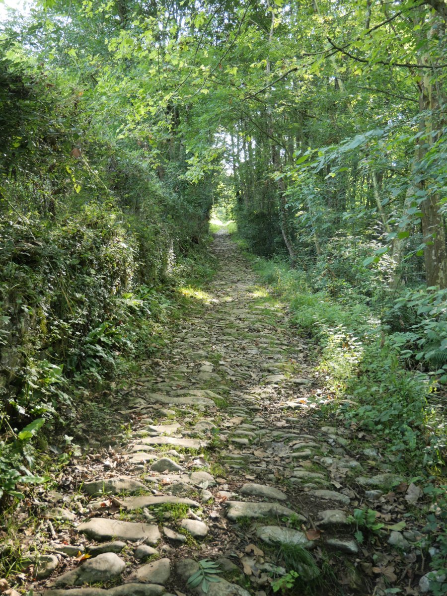 Galtzada zaharra, Arantza