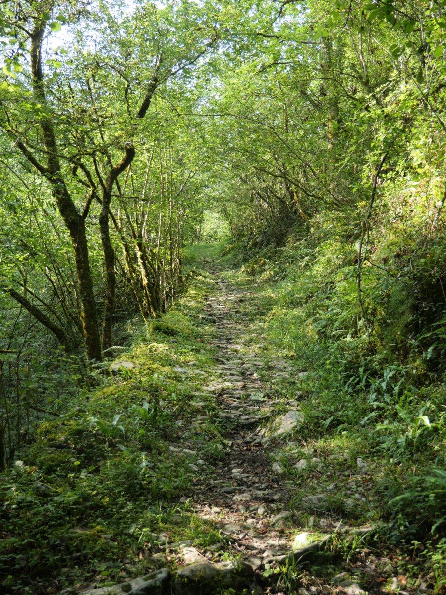 Galtzada zaharra, Arantza