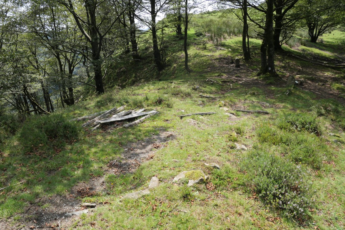 Ibintzako harrespilak