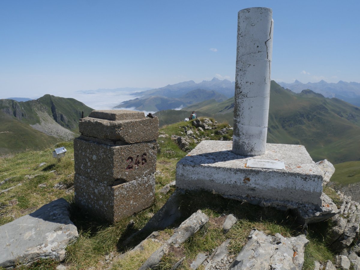 246 mugarria Otsogorrigaina tontorrean