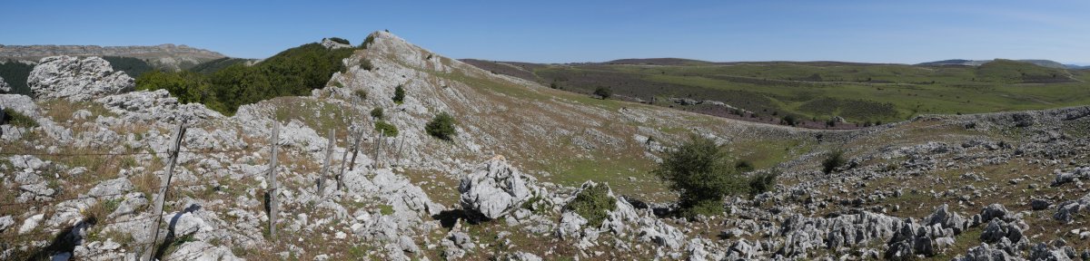 Pagomotxeta Eskalaborro aldetik