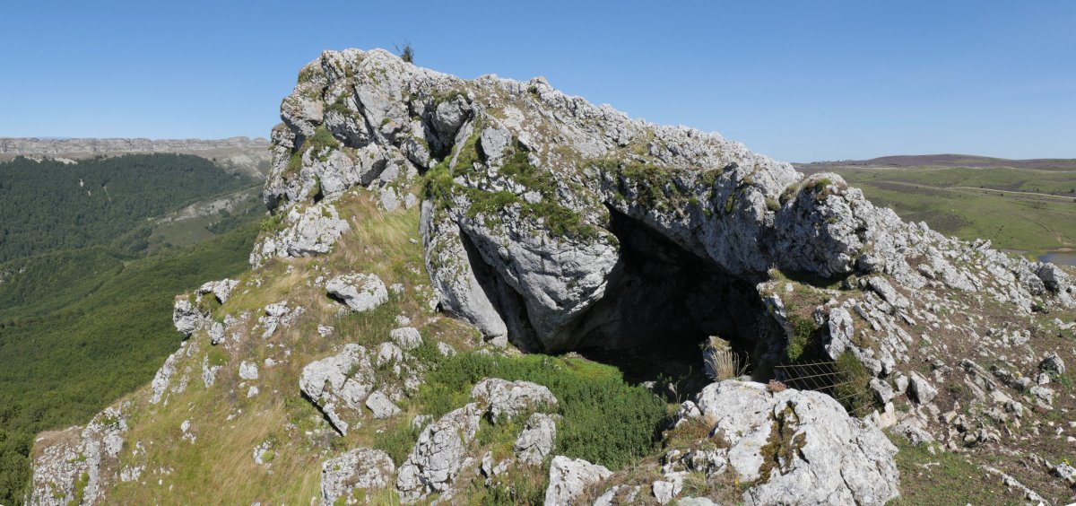 Harpea, Eskalaborro tontorraren inguruan