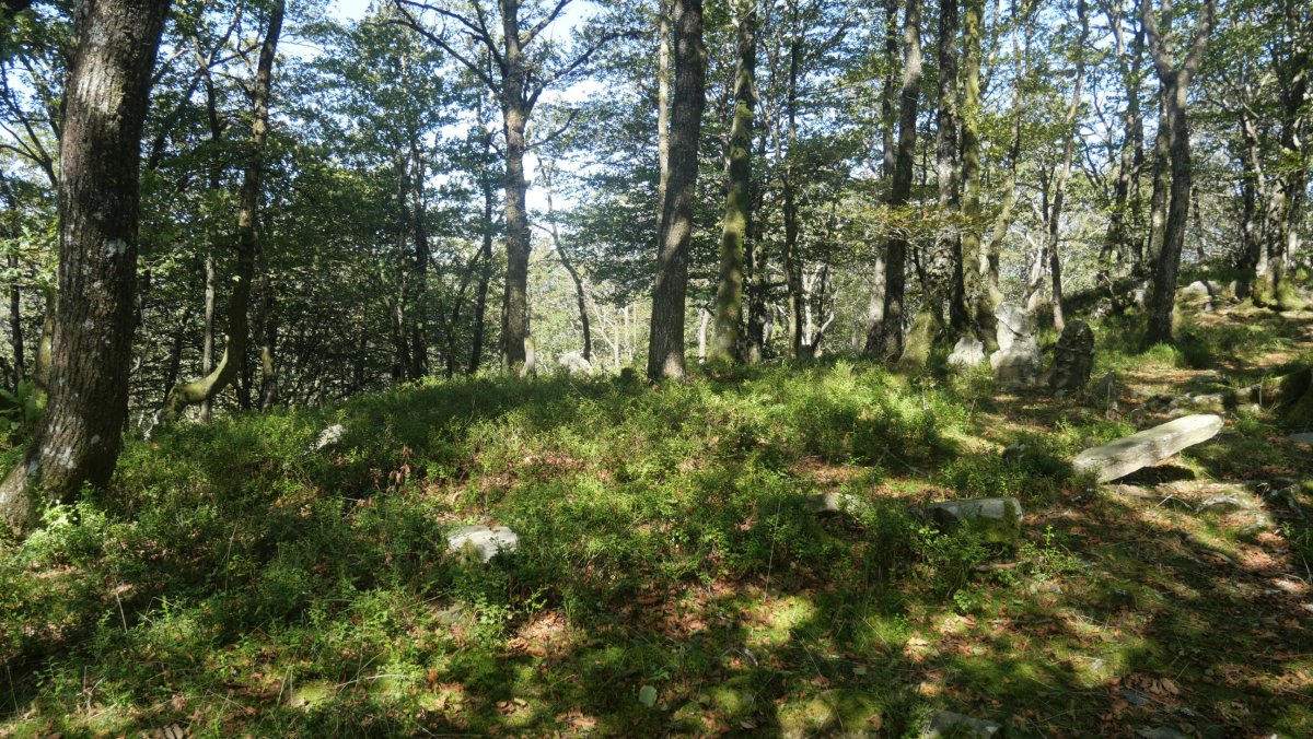 Baraxar Pagoxar harrespila