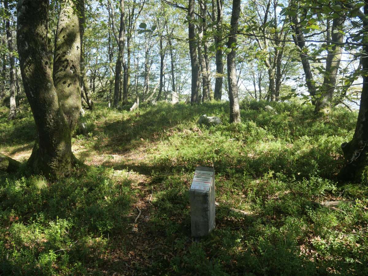 Baraxar Pagoxar harrespila