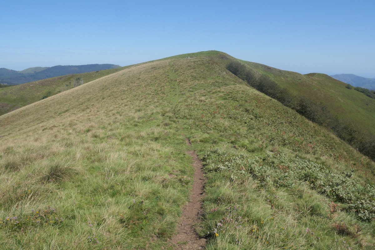Izu hegoaldeko bizkarretik