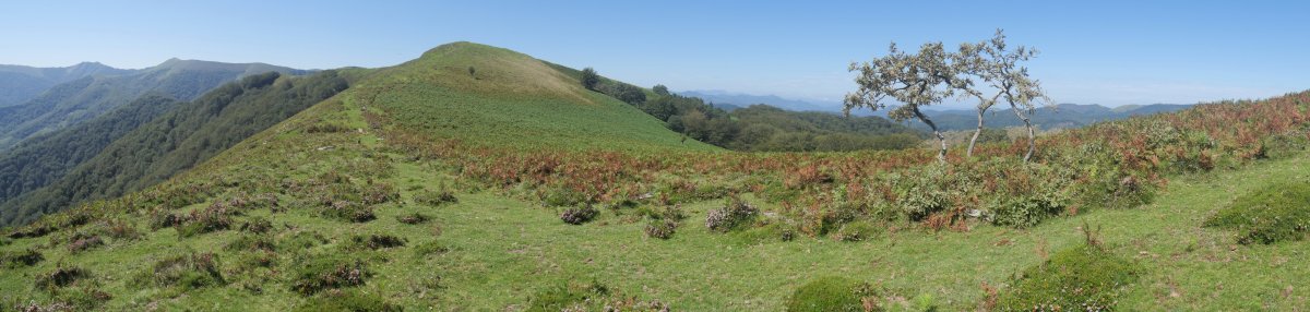 Izu iparraldeko bizkarretik