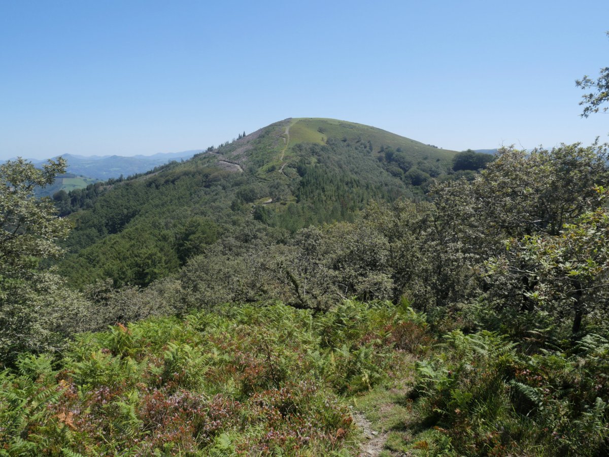 Unanua Itsaszelaieta aldetik ikusita