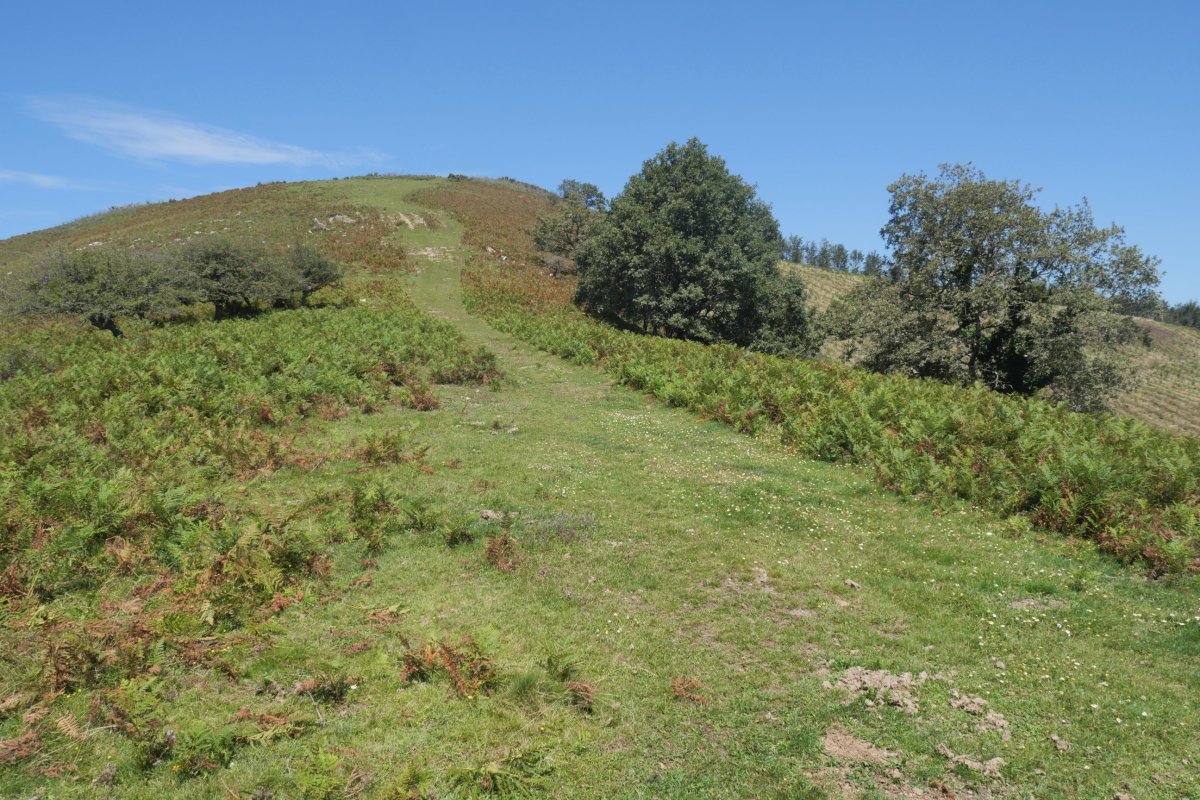 Unanua tontorra hegoaldetko bizkarretik