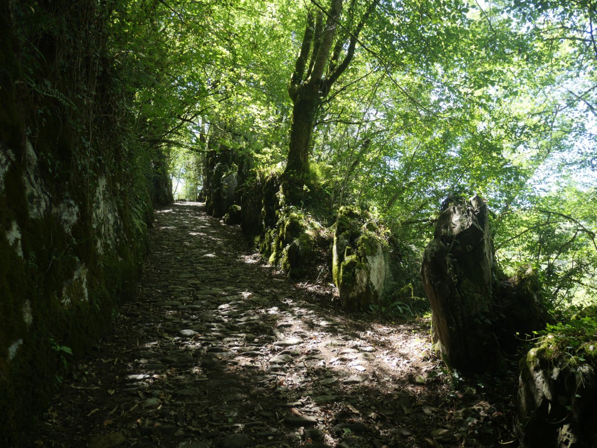 Azken aldapa, Arantzara igotzeko