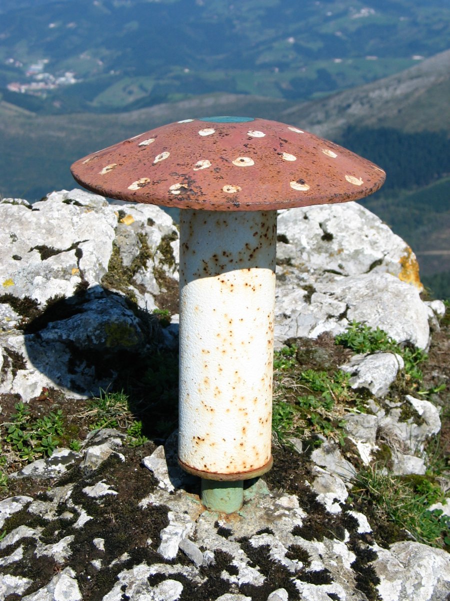 Sarastarriko txartelontzi zaharra (desagertua)