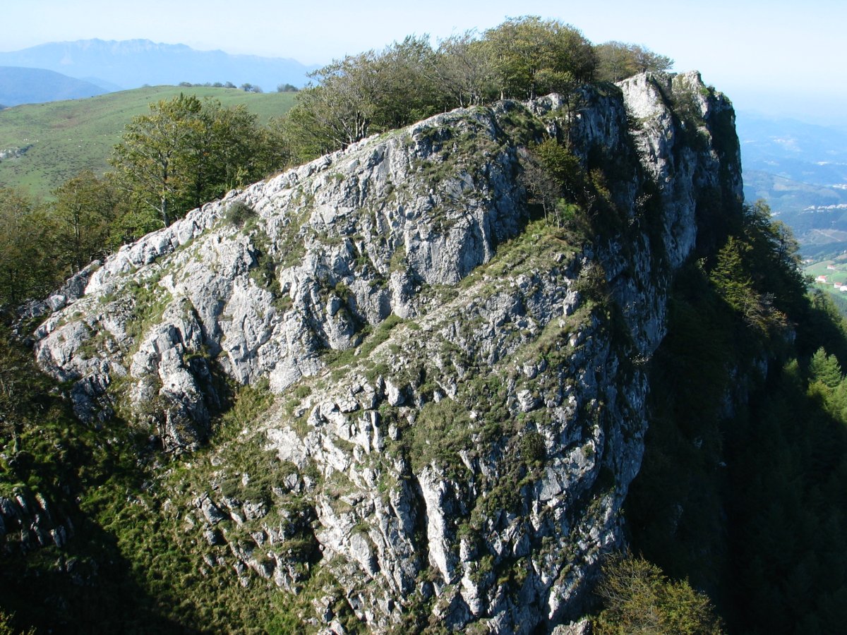 Tontorraren inguruko gandorra Etik