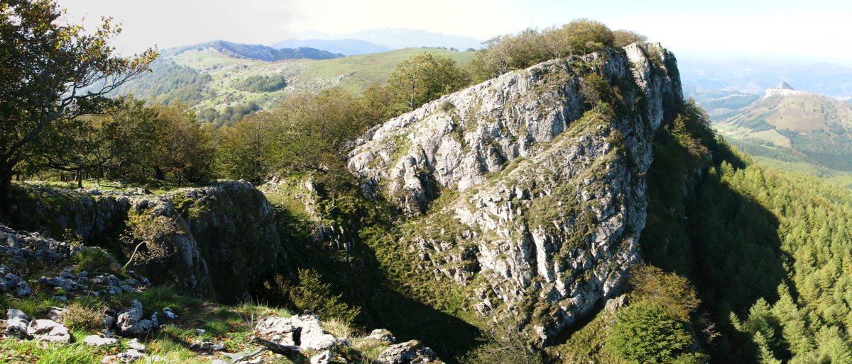 Sarastarriko gandorra ekialdetik