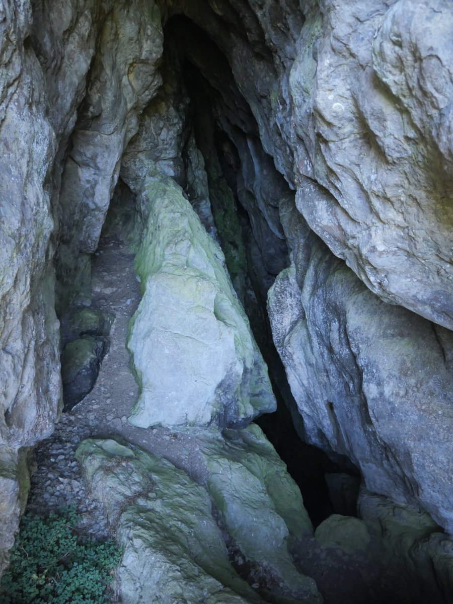 Bilingaratz 2 leizea