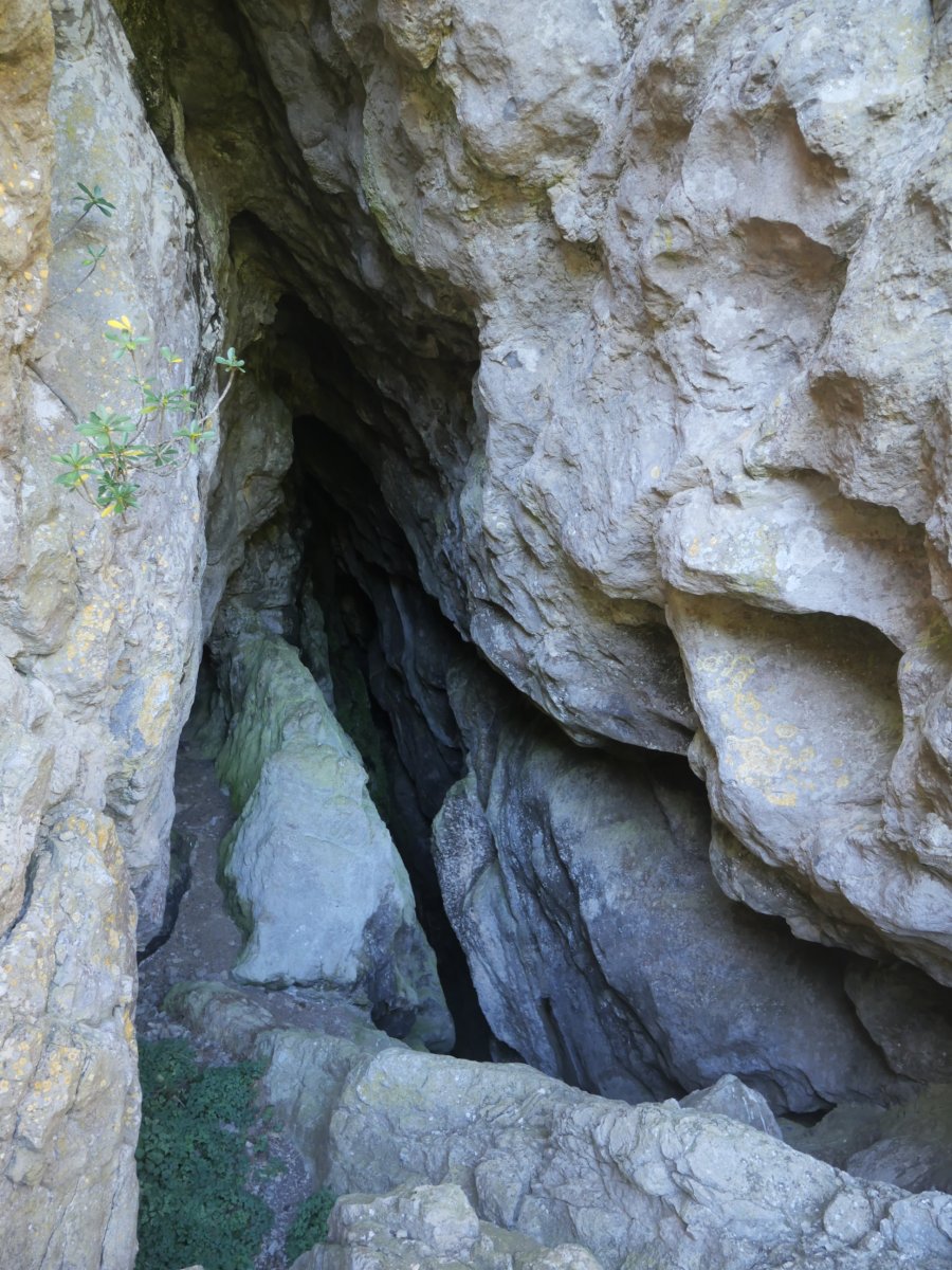 Bilingaratz 2 leizea