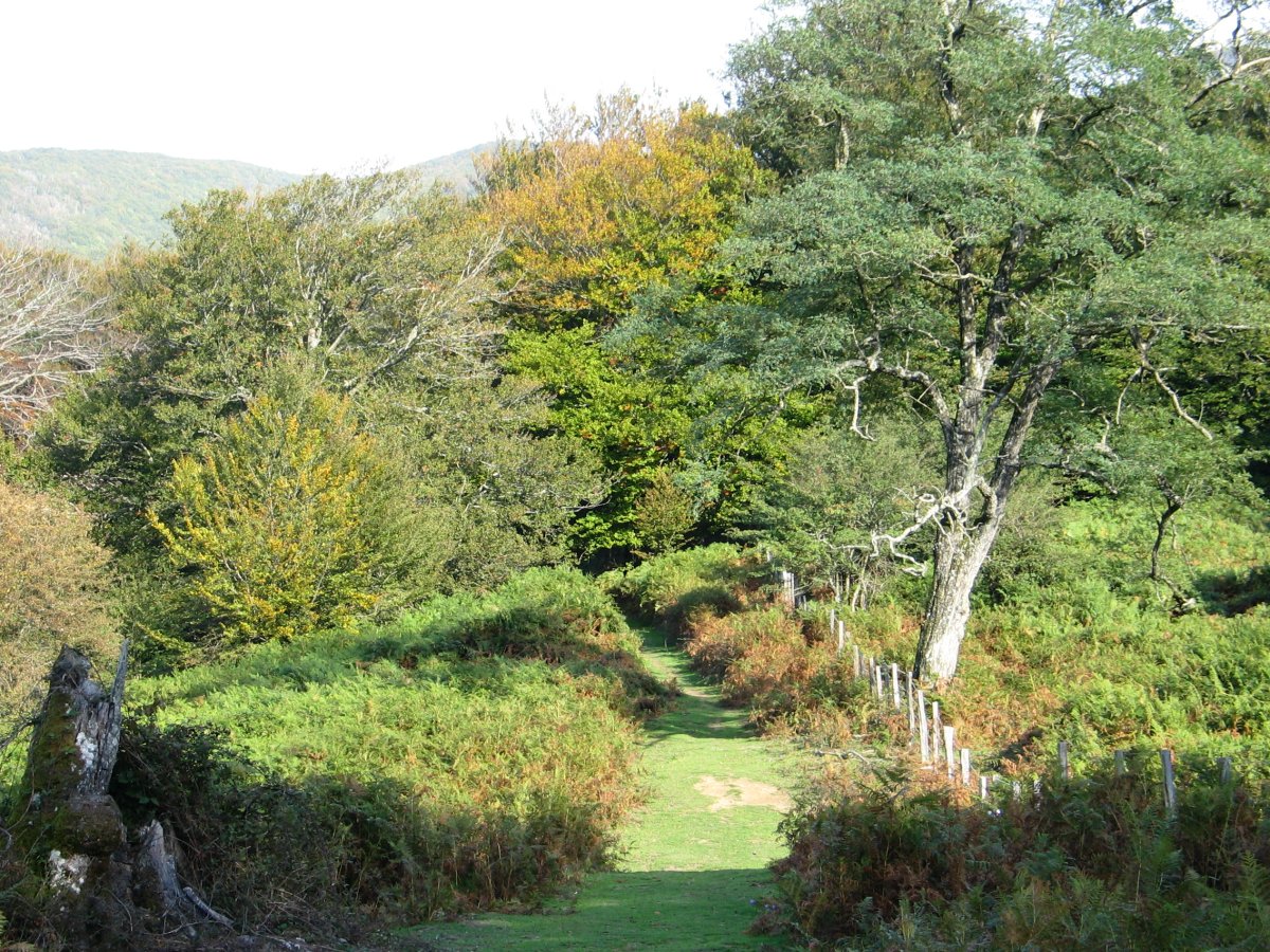 GR12 bidea ekialdeko lepoan