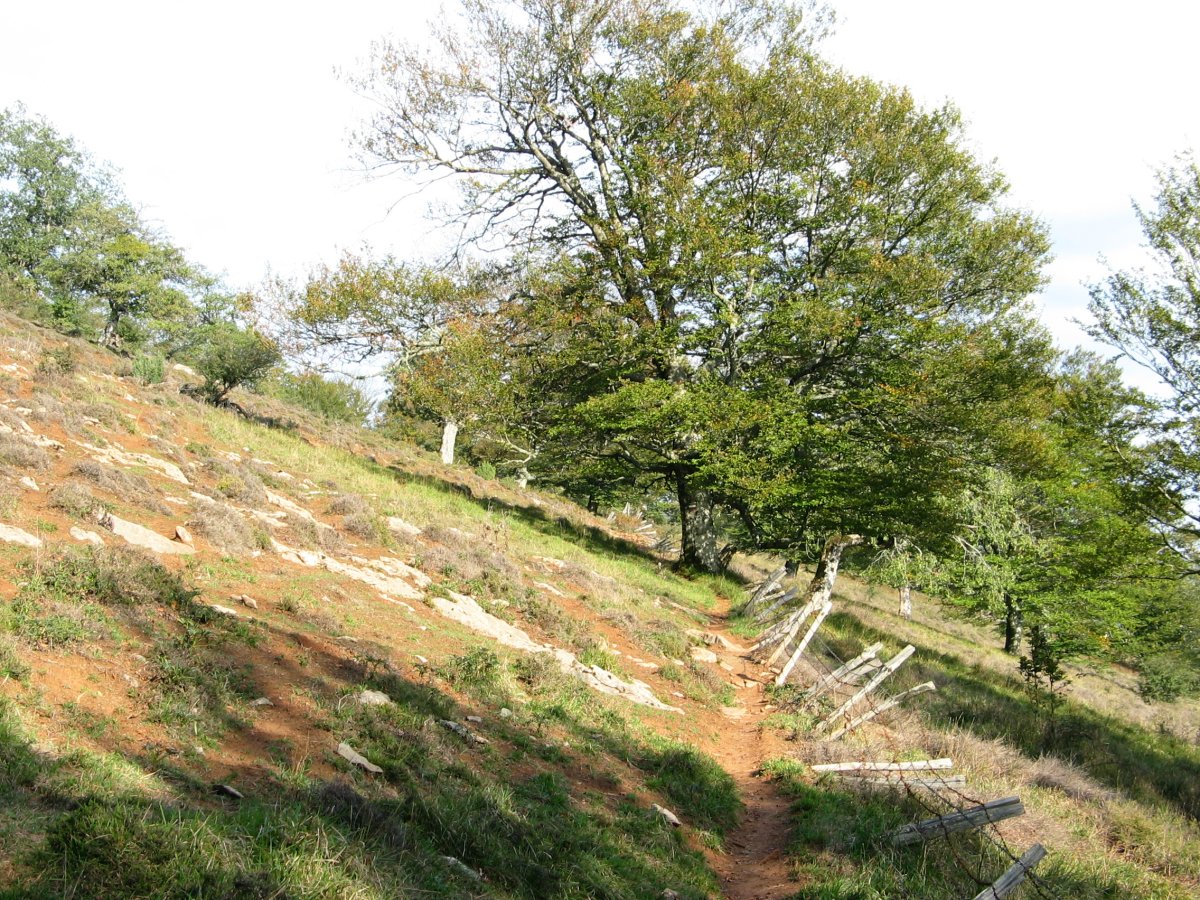 GR12 bidea tontorra Hegoaldetik inguratuz