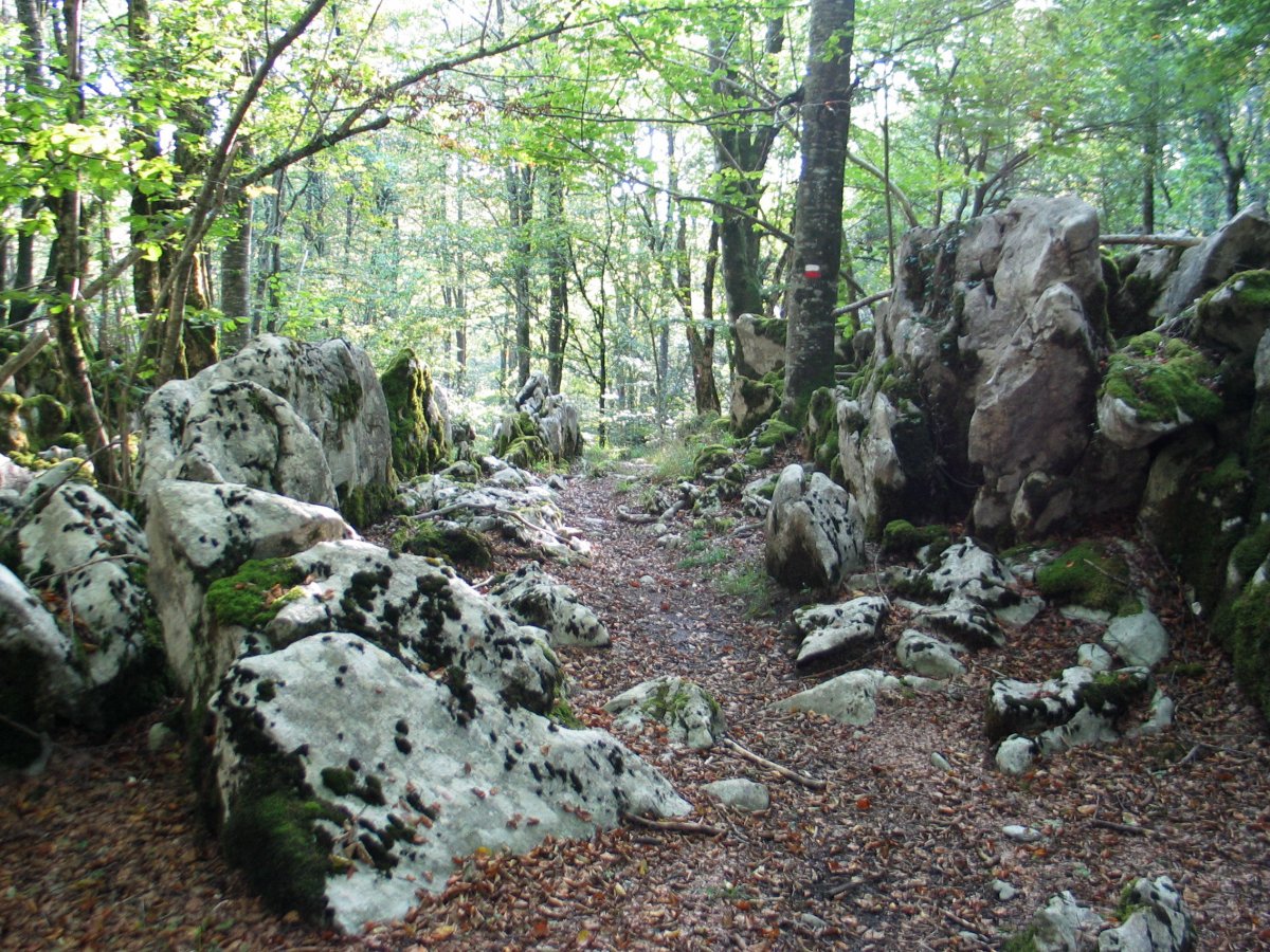 GR12 bidea basoan barrena