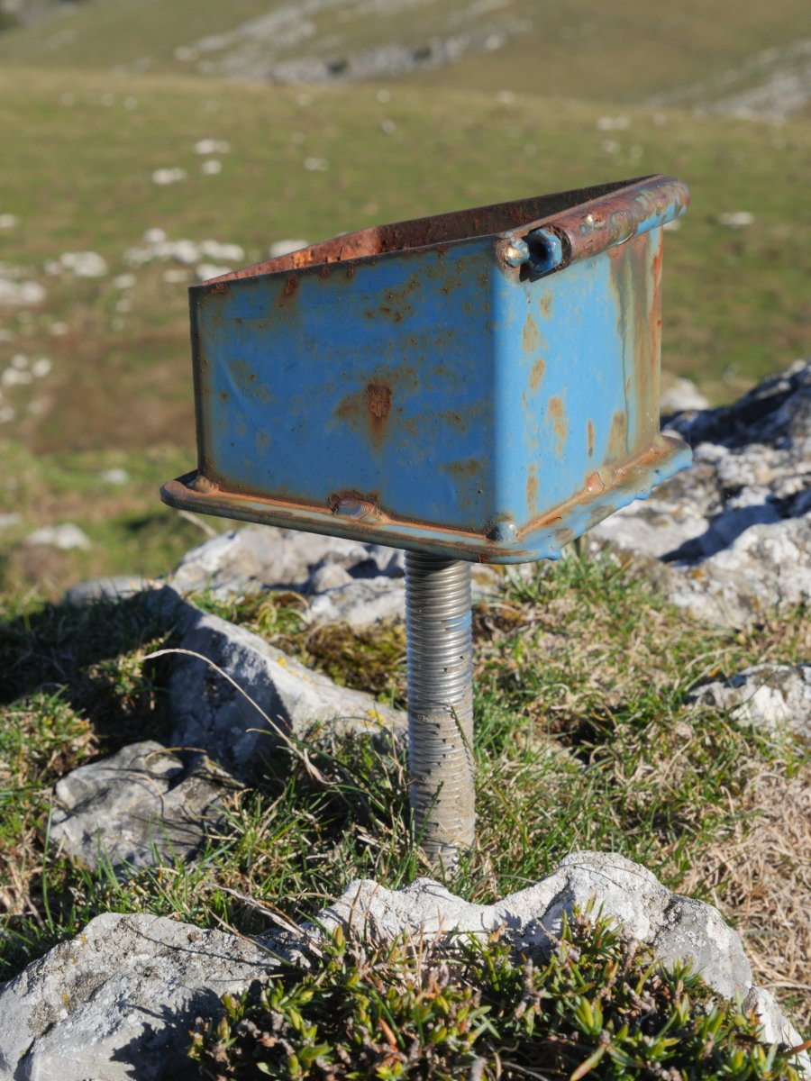 Saltarrimendiko txartelontzia