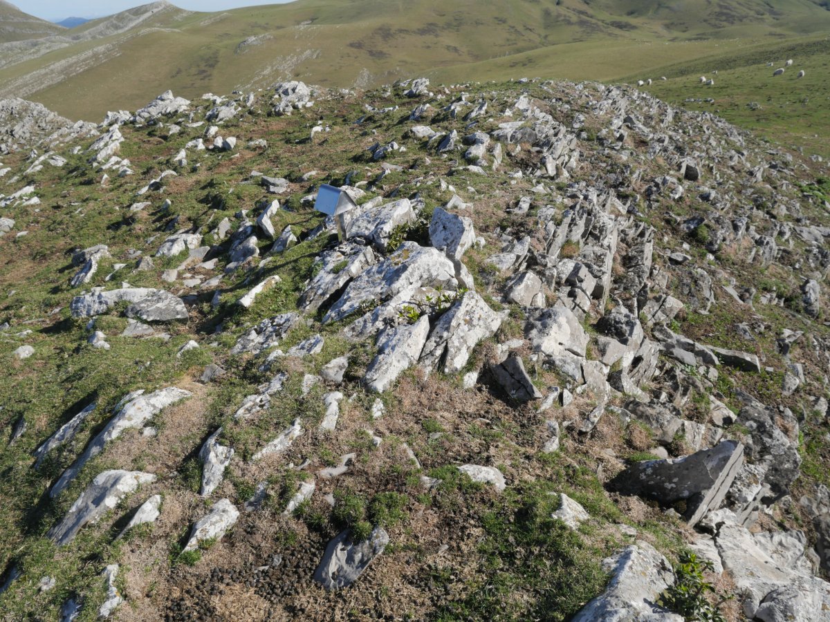 Beleku, txartelontzia duen muinoa