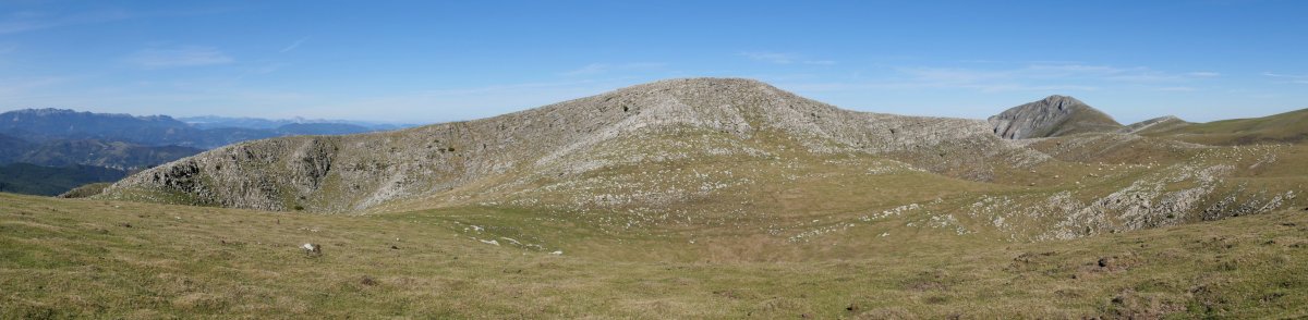 Beleku, tontor nagusia