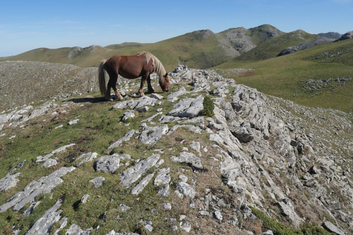 Urrusti izeneko muinoa, Gañeta eta Malkorri artean