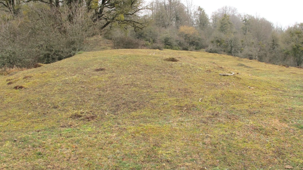 El Espinar etxola hondoa, Urbasa