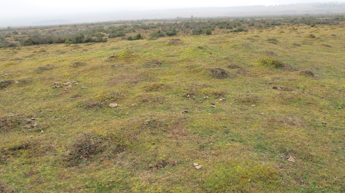 El Espinar Norte tumulua, Urbasa