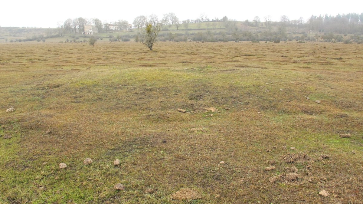 El Espinar Hego 2 tumulua, Urbasa