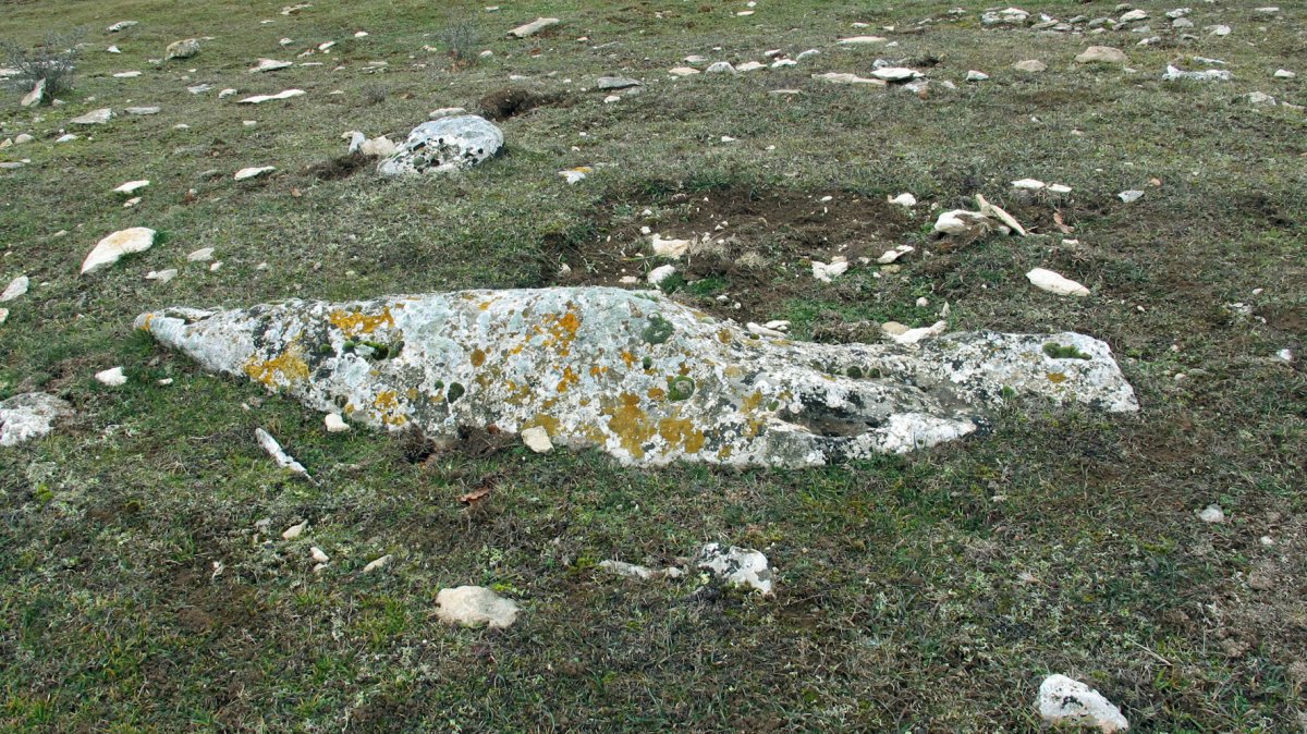 Pinar de Urbasa Sur zutarria, Urbasa