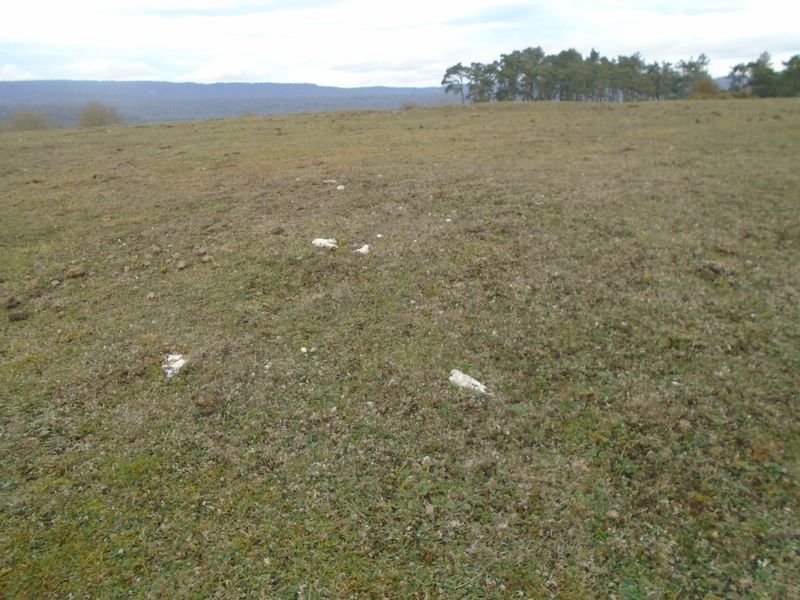 alto de errekasanta 4