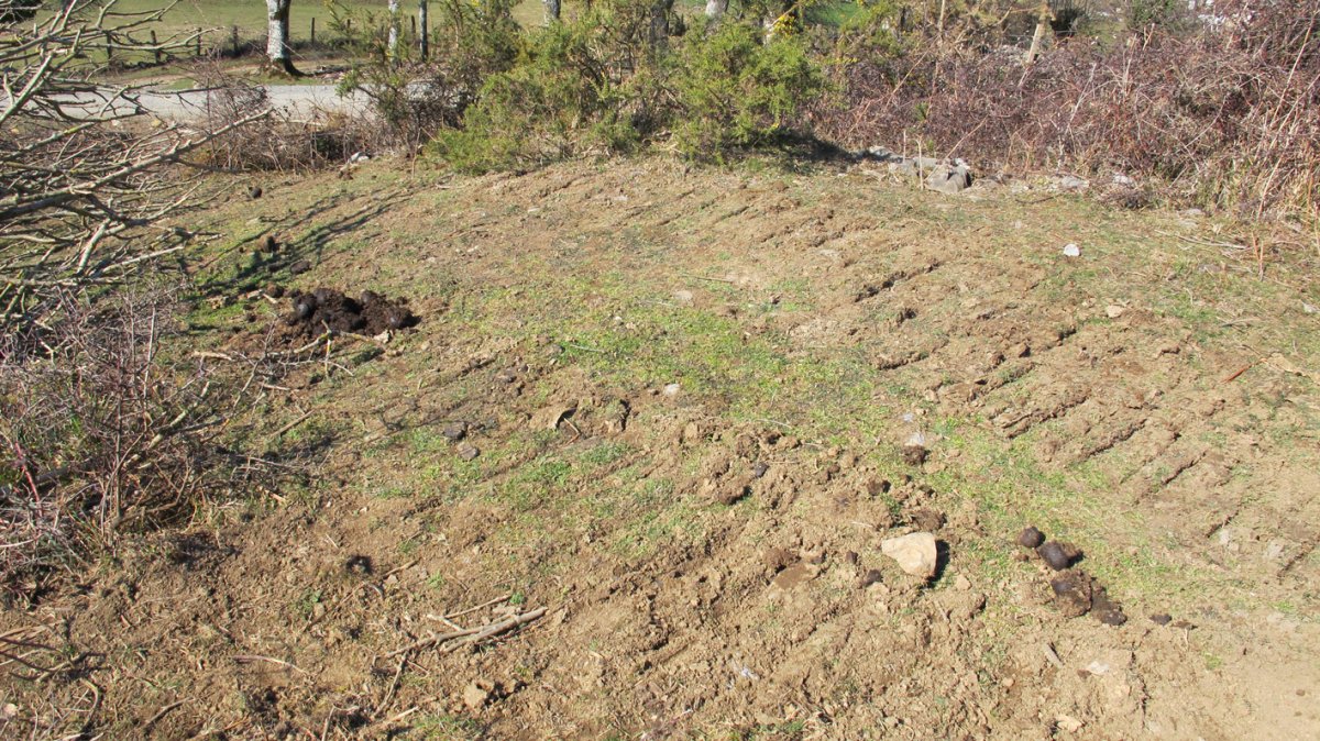 Ezkaldo 2 mendebal tumulua, Gartzain-Baztan