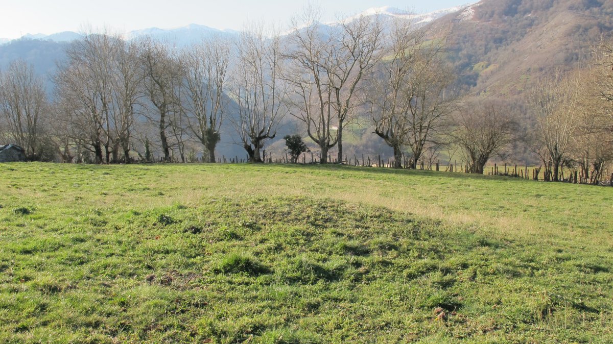 Arretxeko Borda 1 tumulua, Gartzain-Baztan