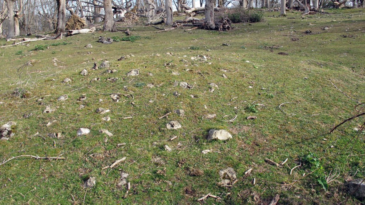 Indarteko borda 8, Gartzain-Baztan