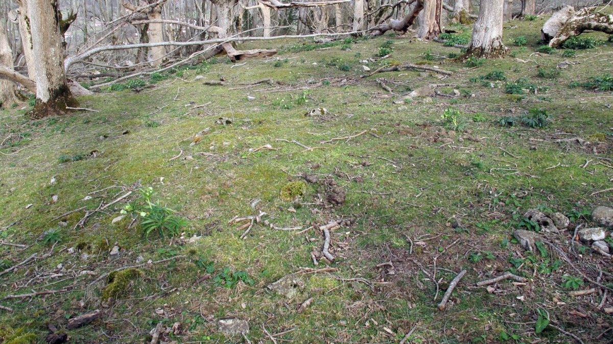 Indarteko borda 11, Gartzain-Baztan