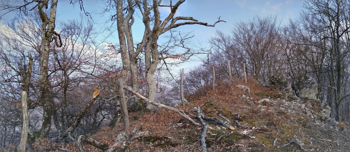 Arregiko Kaskoko gailurra