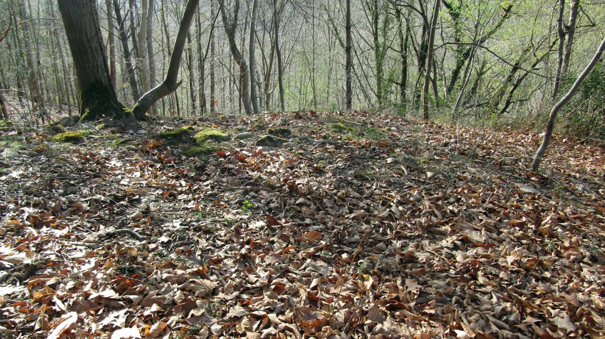 Xoraxuriko Borda tumulua, Etxalar