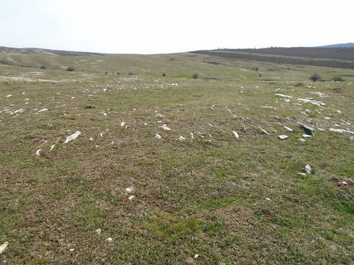 carabineros eraztun tumulua
