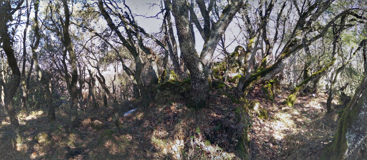 San Kristobaleko gailurra