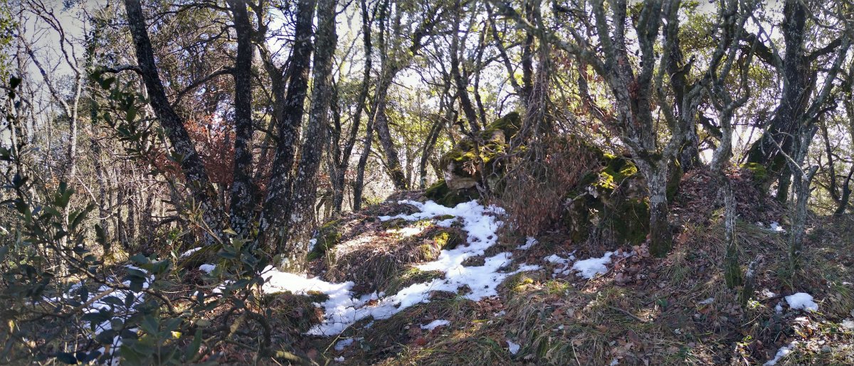 San Kristobaleko gailurra