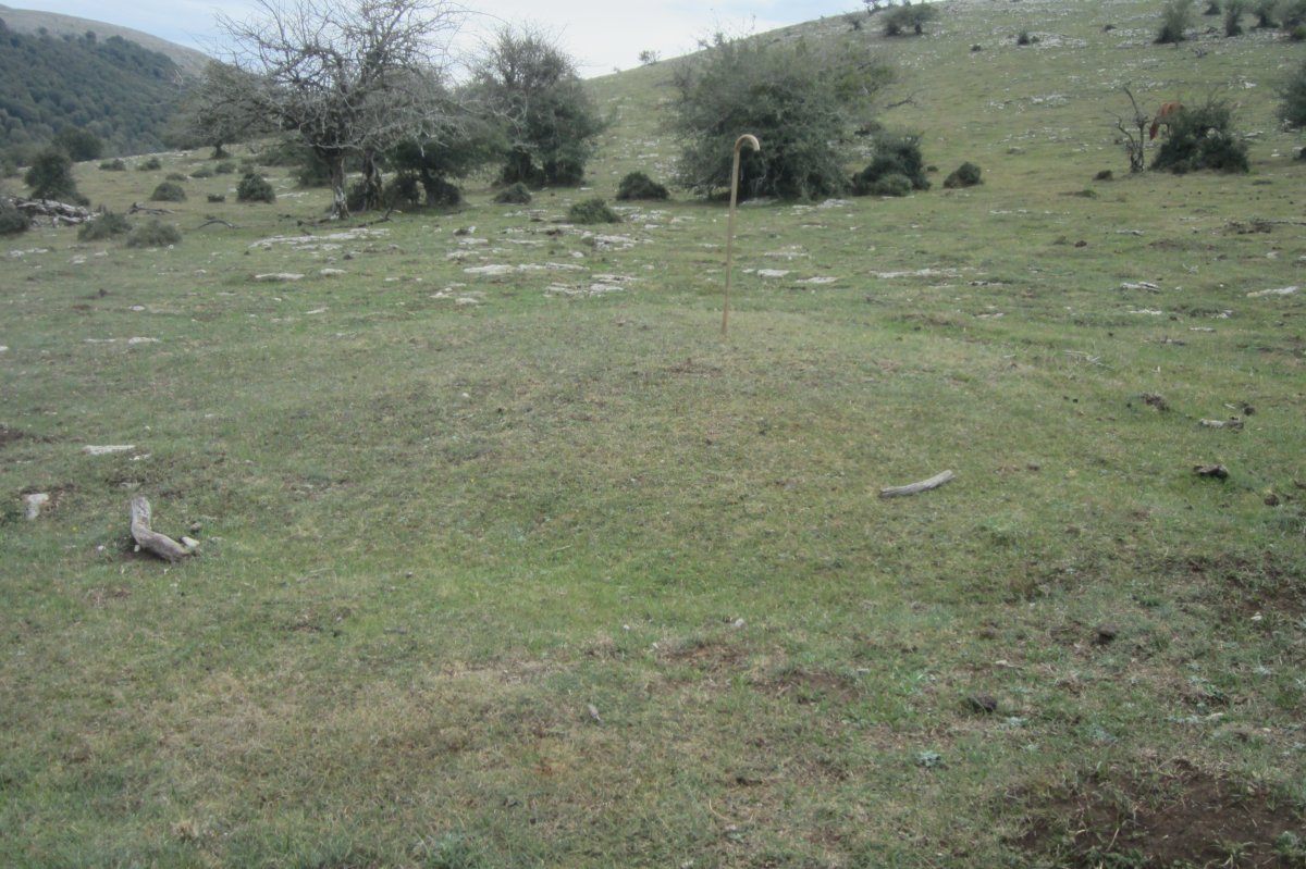 Fondo de Cabaña Ixaren 2 (09-2017)