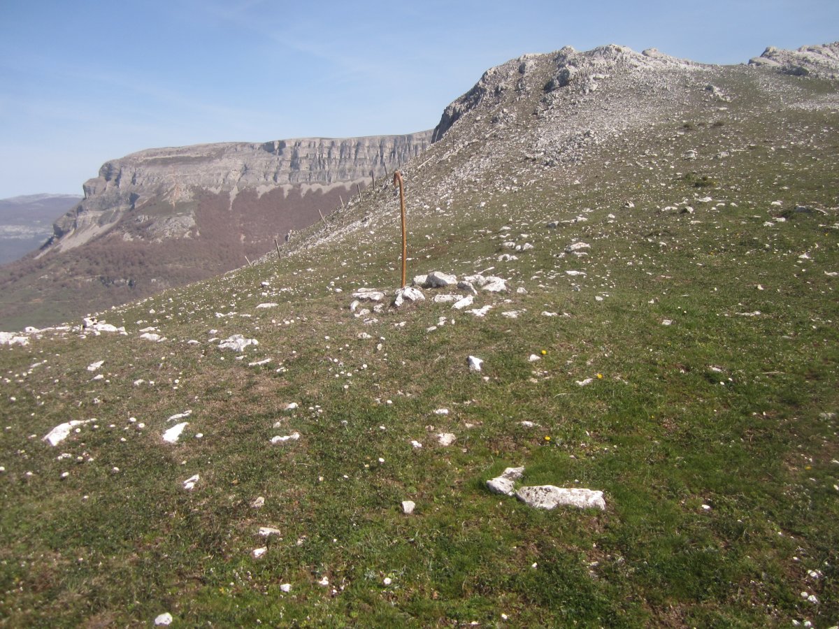 Túmulo Usaide (04-2023)