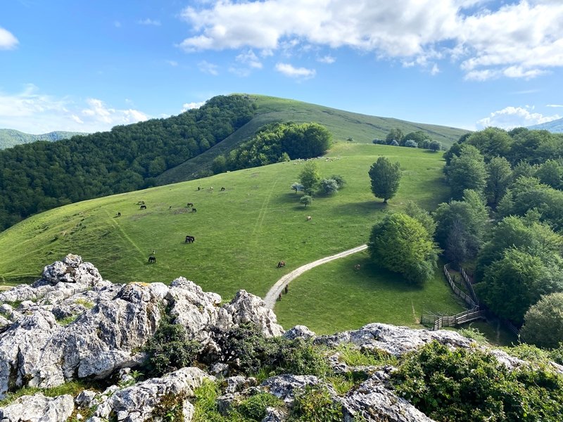 Garagartzako Haitzetatik