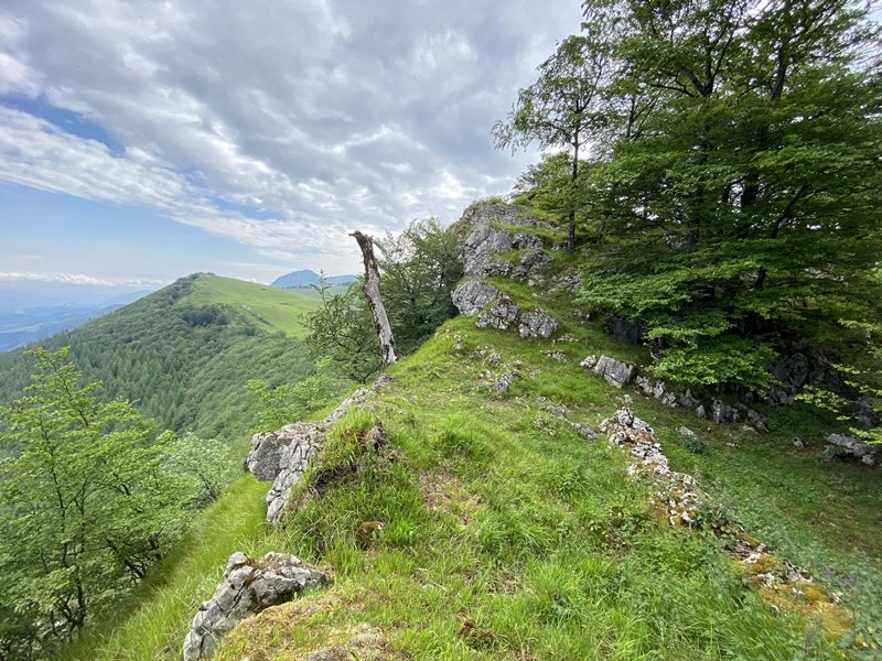 Erpin Geodesikodun Tontorra