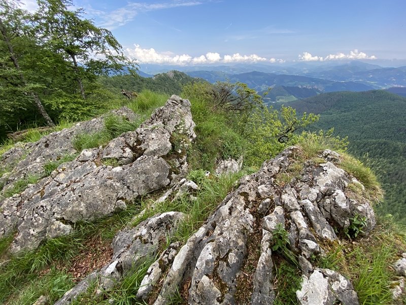 Erpin Geodesikodun Tontorra