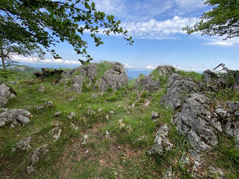 Erpin Geodesikodun Tontorra
