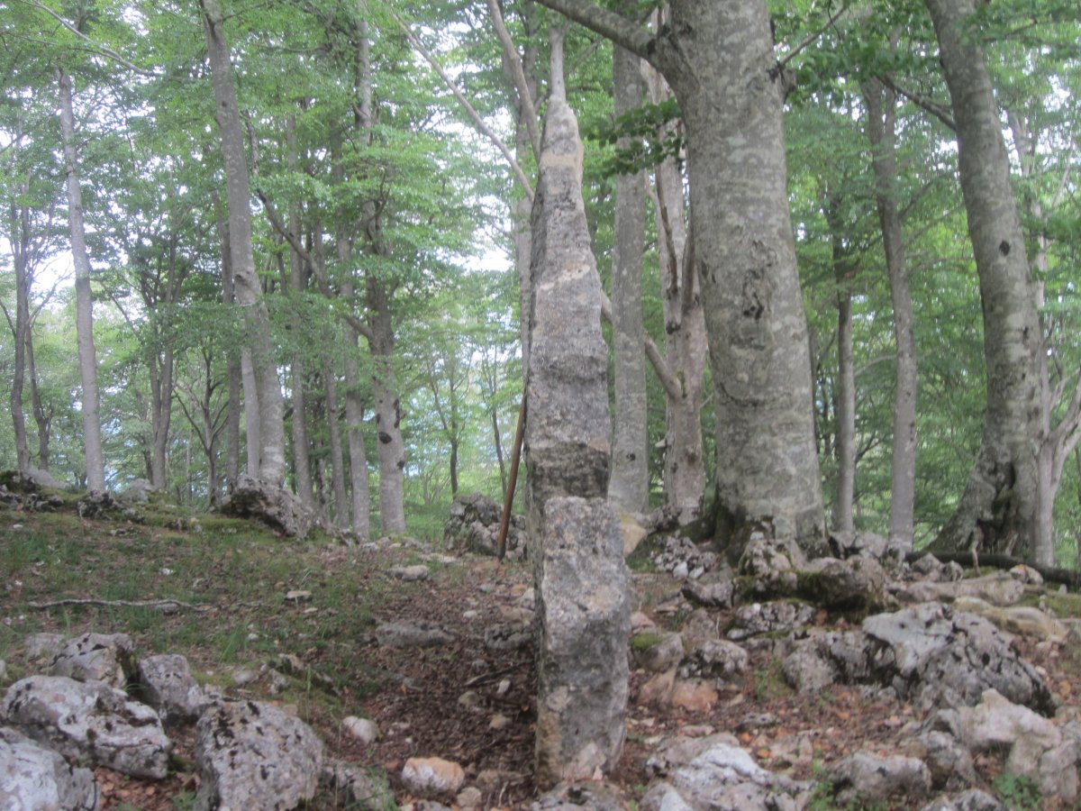 Menhir Baio Este  (Junio 2023)